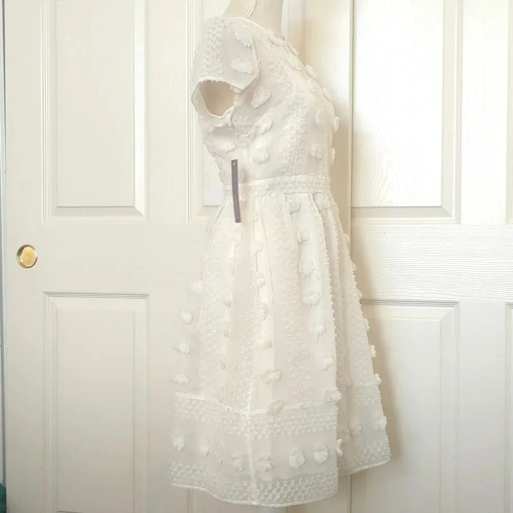 Anthropologie Sunday in Brooklyn Bonita Textured Mini Dress - Picture 5 of 7